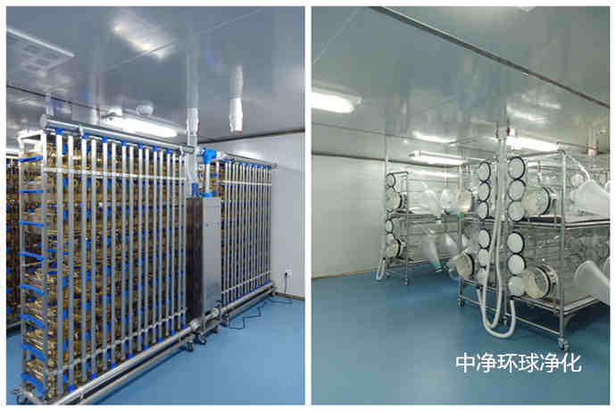 潔凈動物房設(shè)計(jì)建造